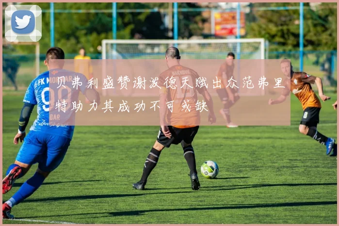 贝弗利盛赞谢泼德天赋出众范弗里特助力其成功不可或缺