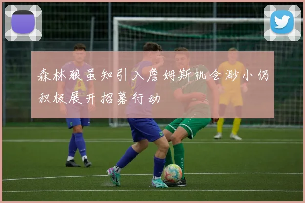 森林狼虽知引入詹姆斯机会渺小仍积极展开招募行动