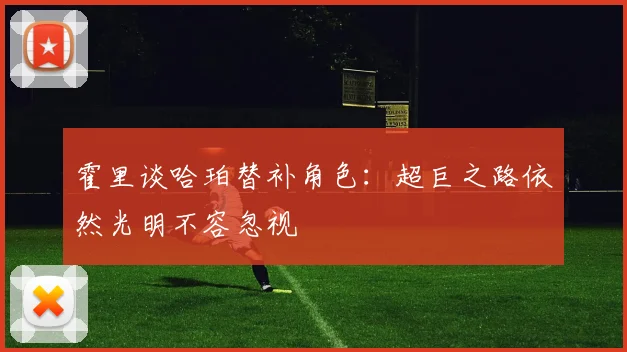 霍里谈哈珀替补角色：超巨之路依然光明不容忽视