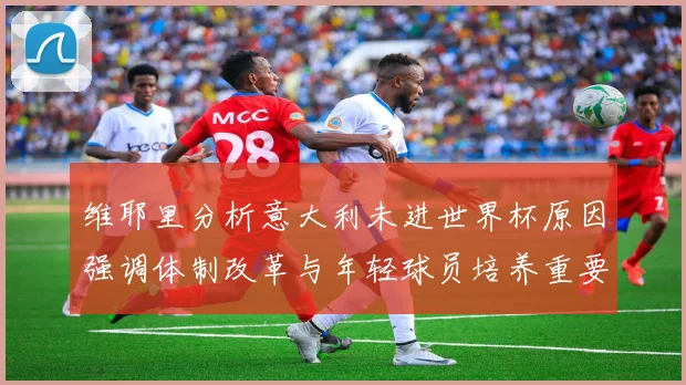 维耶里分析意大利未进世界杯原因强调体制改革与年轻球员培养重要性